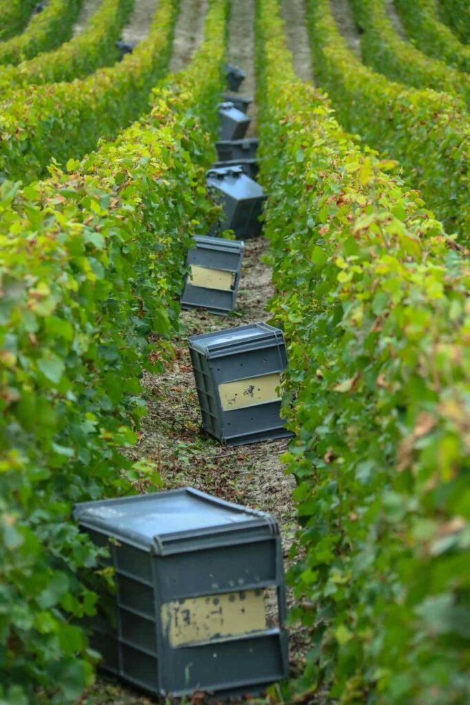 Tourisme en Champagne pour séjour romantique