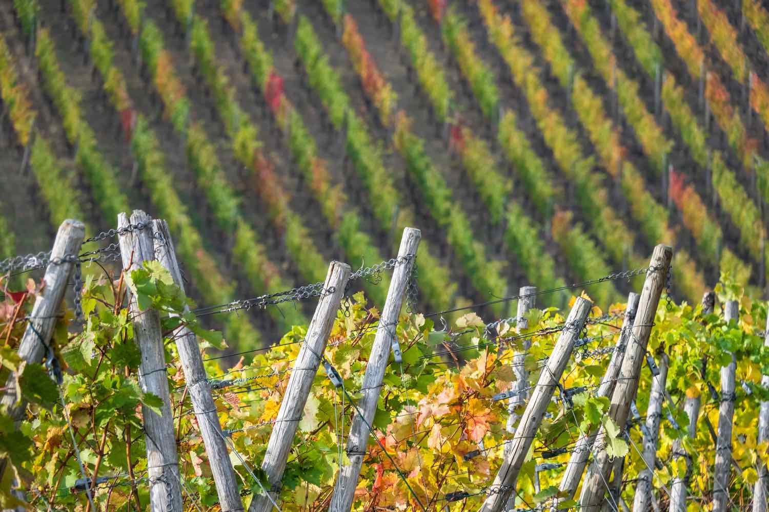 Séjour romantique en Champagne