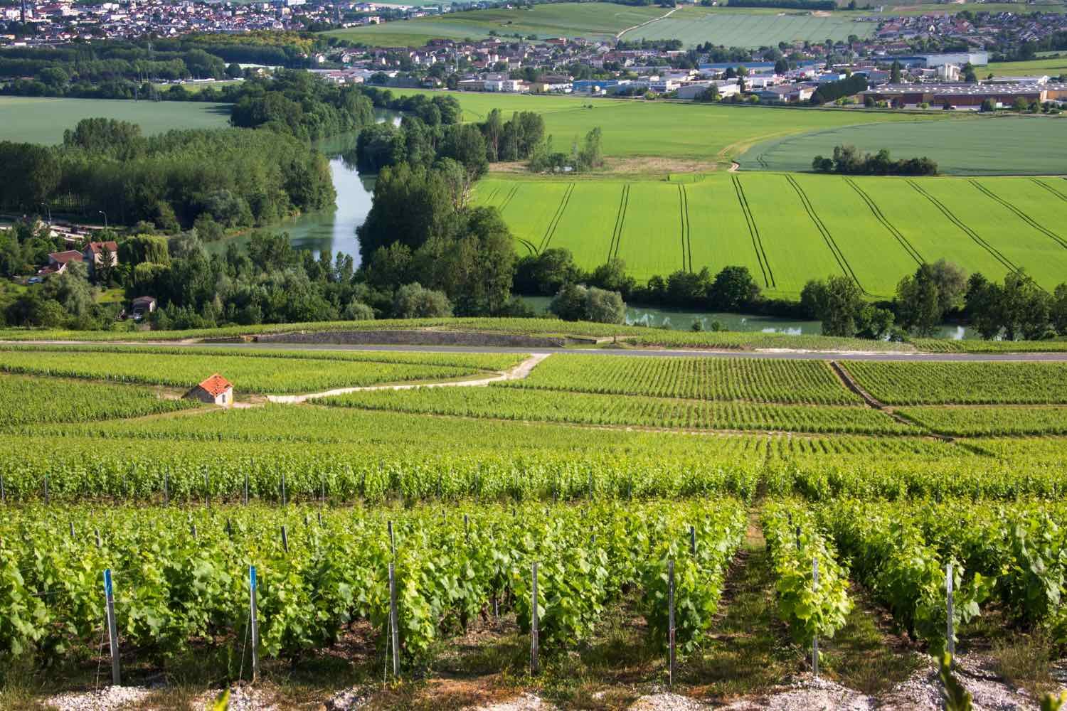 Tourisme en Champagne