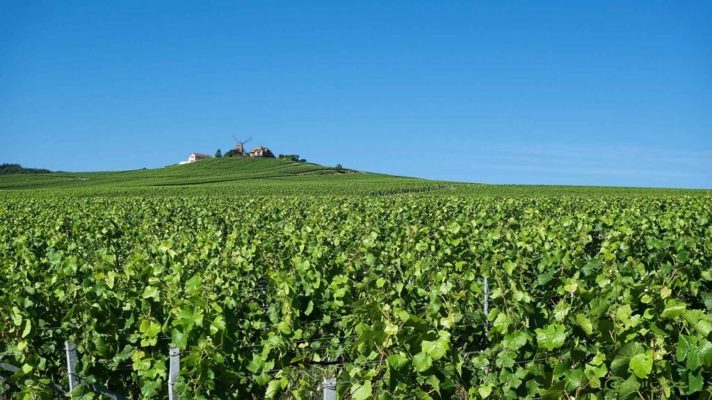 Tourisme en Champagne